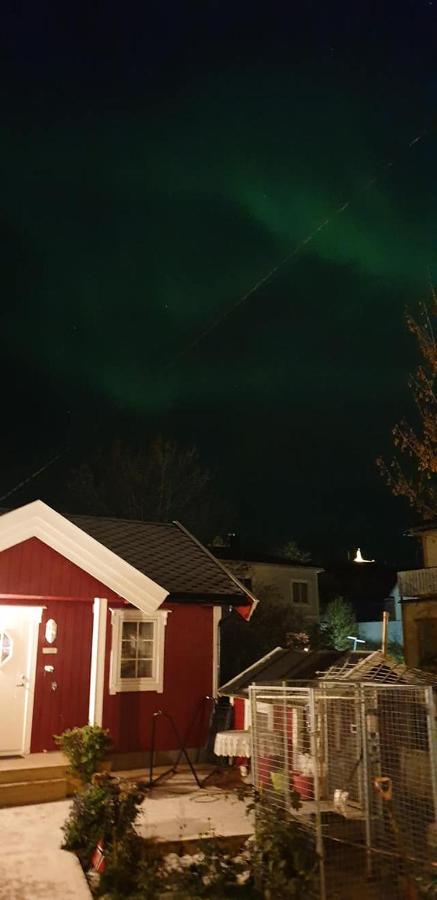 Nydelig Hytte I Kabelvag Lofoten Exterior foto